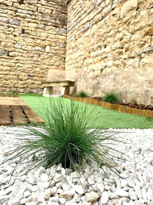 L'Eden, Apt 4 Prs Avec Jardin En Centre Ville Dijon Exteriör bild
